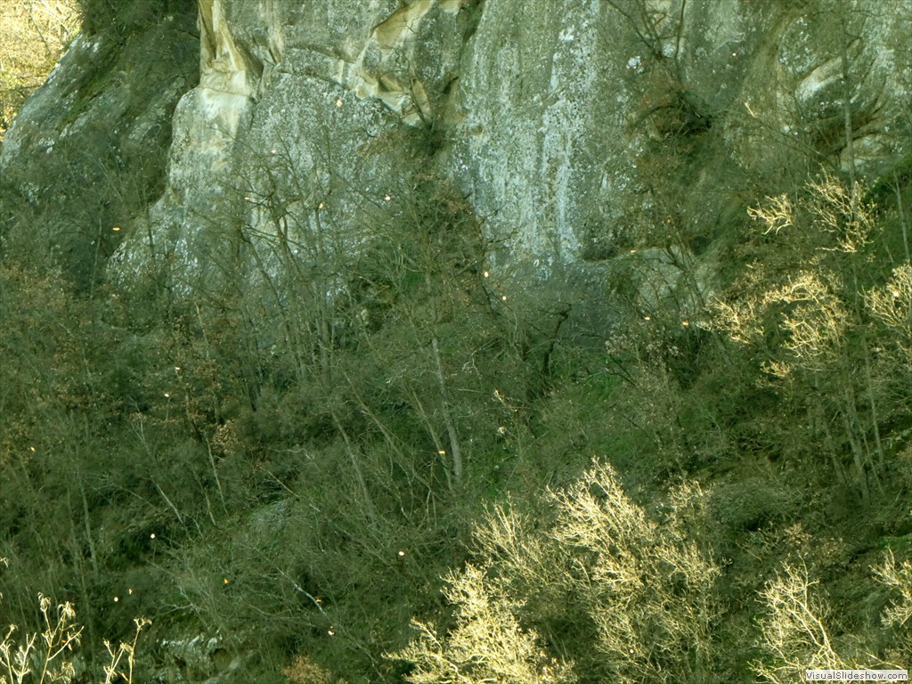P1000408