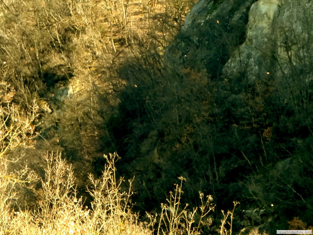 P1000411