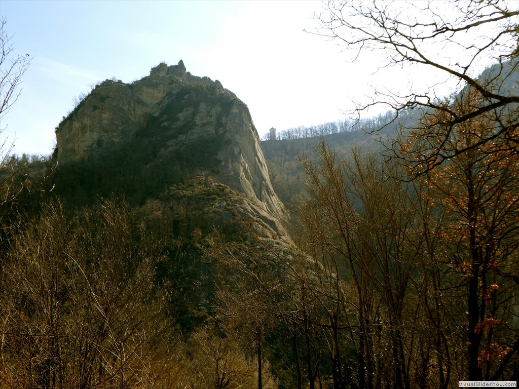 P1000412