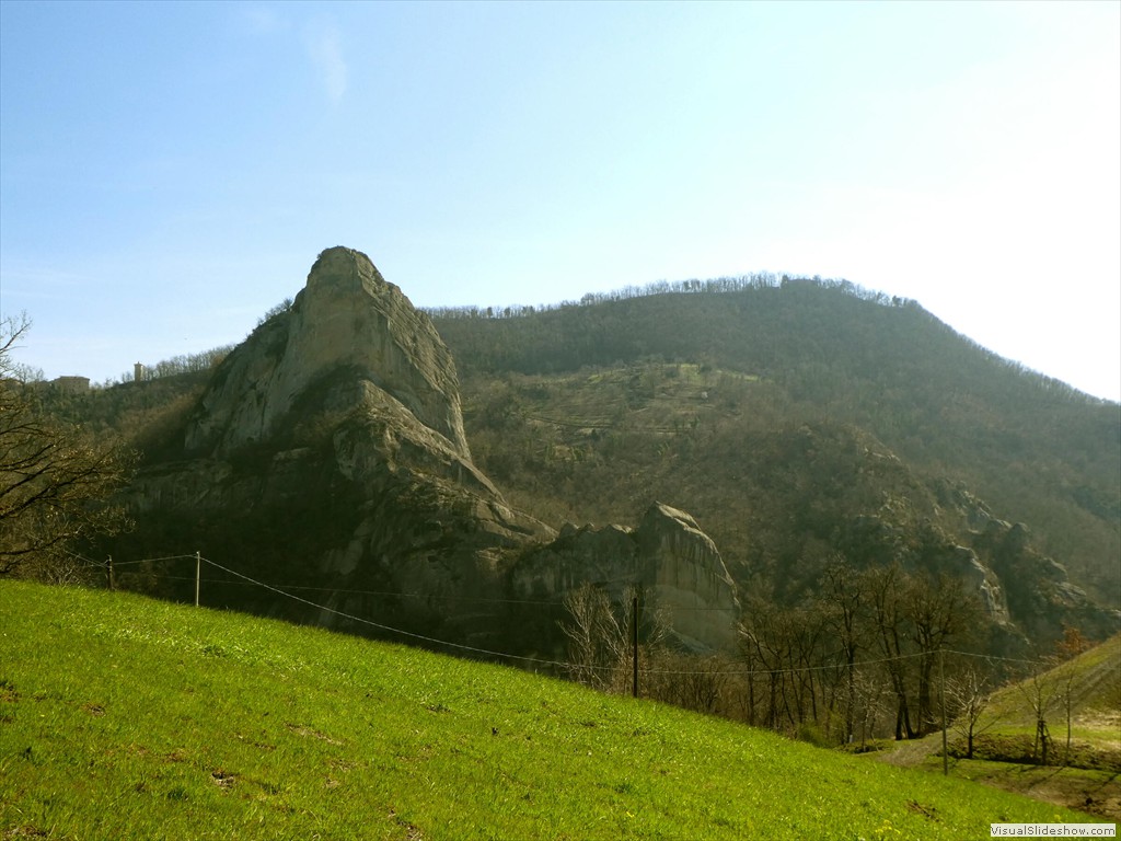 P1000419