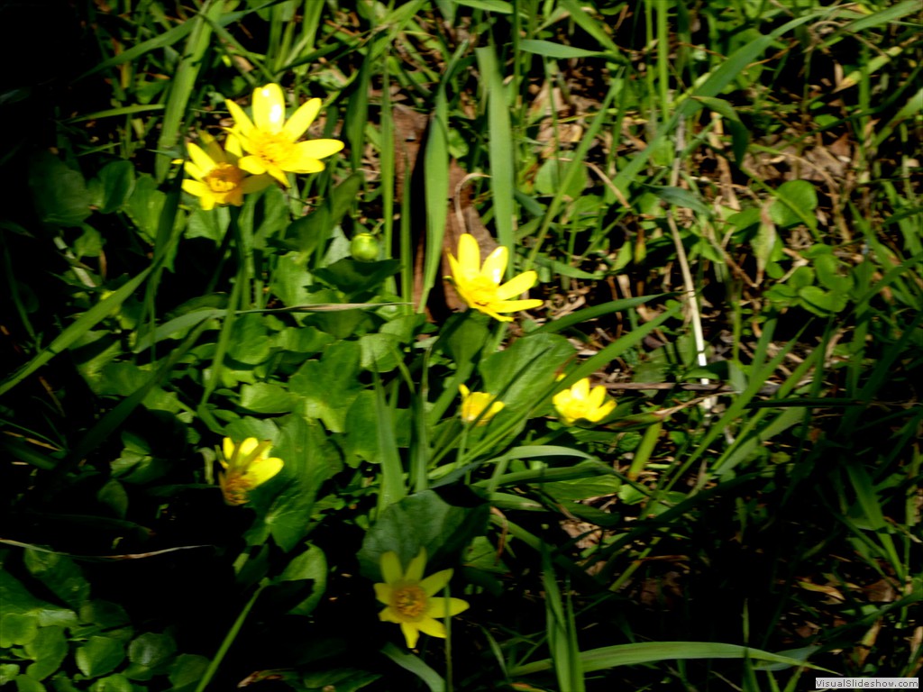 P1000421