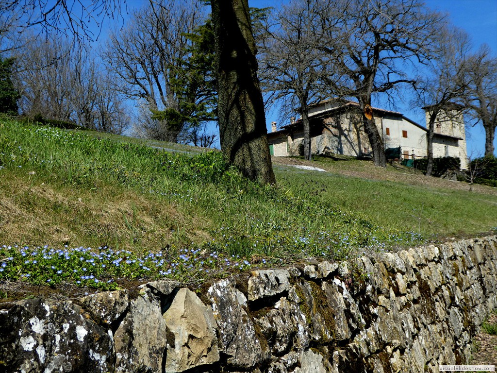 P1000427