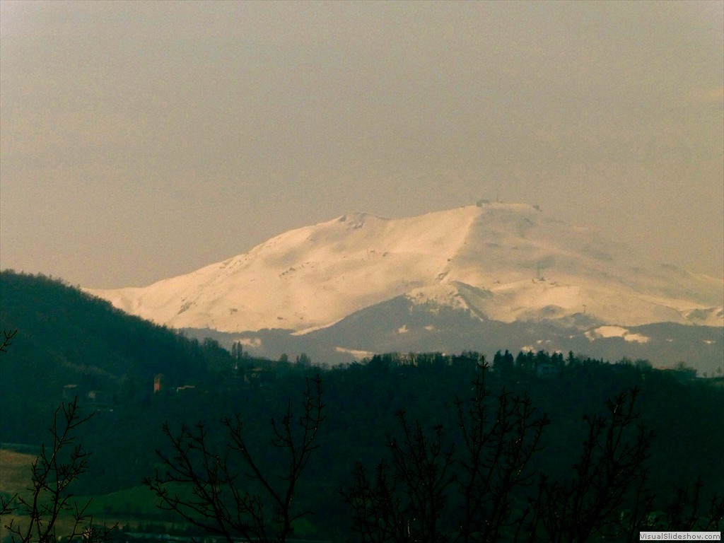 P1000439