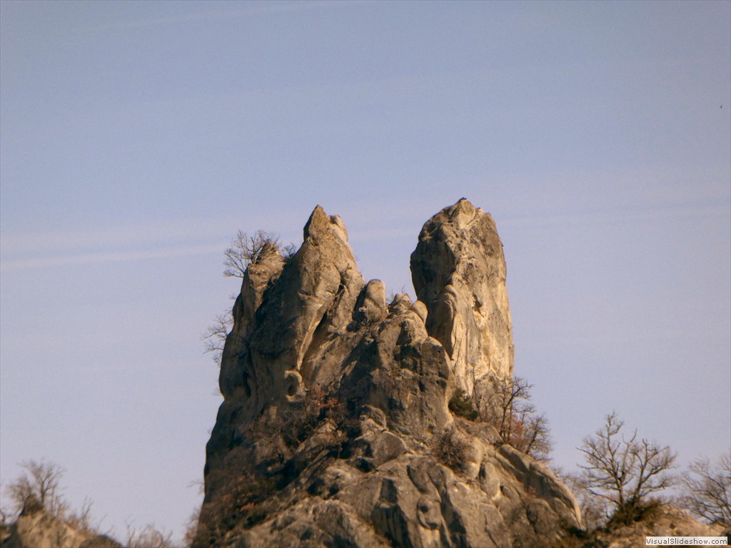 P1000444
