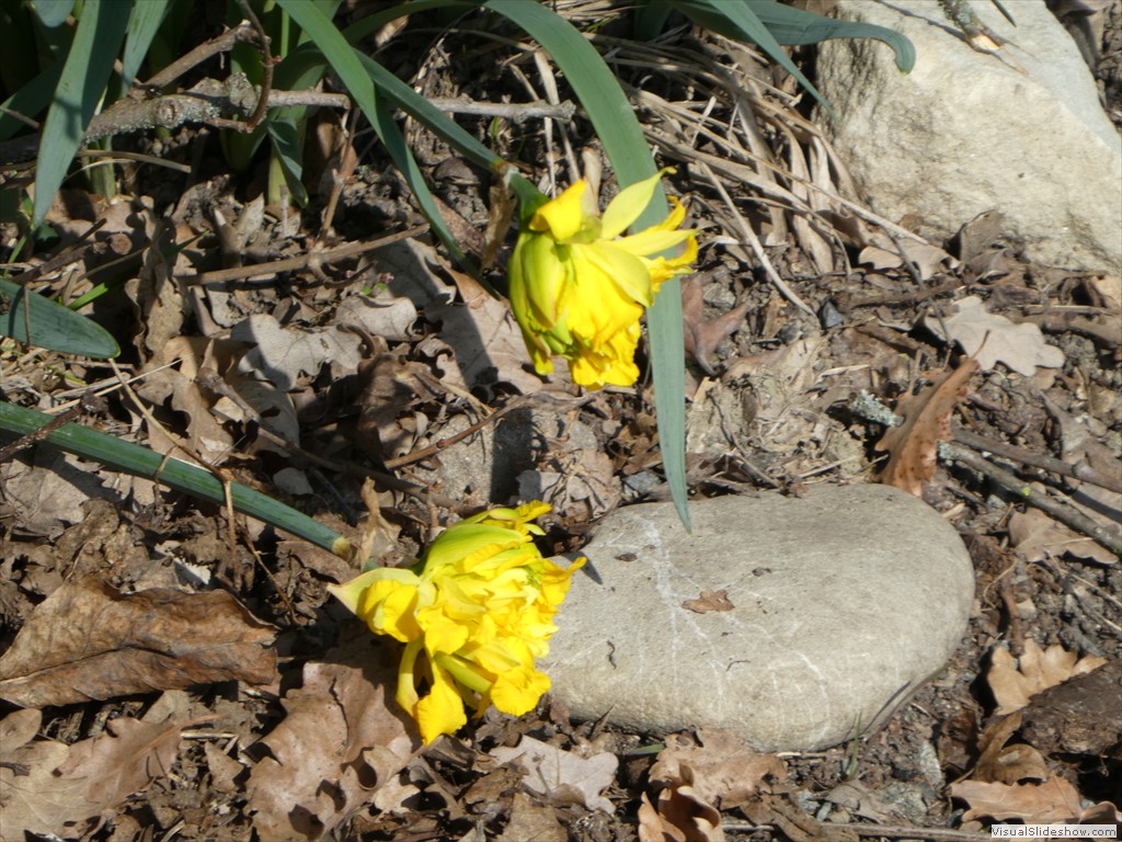 P1000446