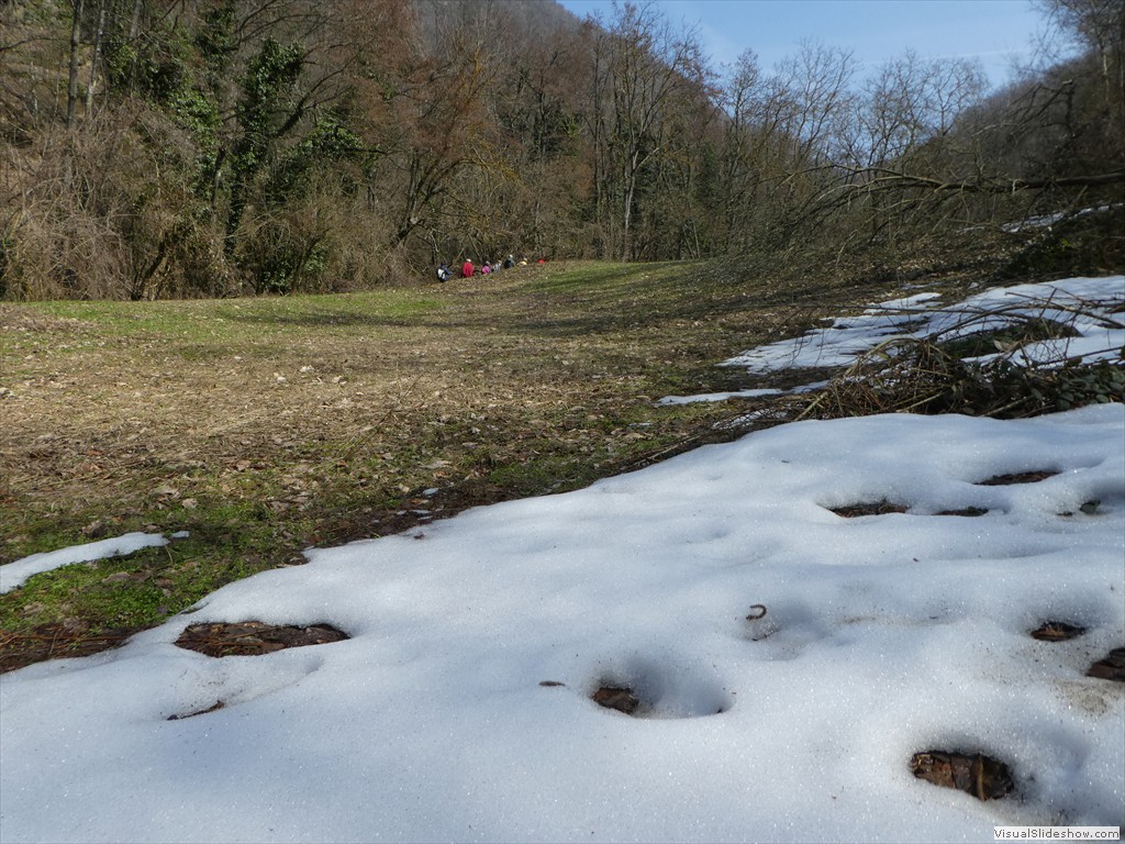 P1000452
