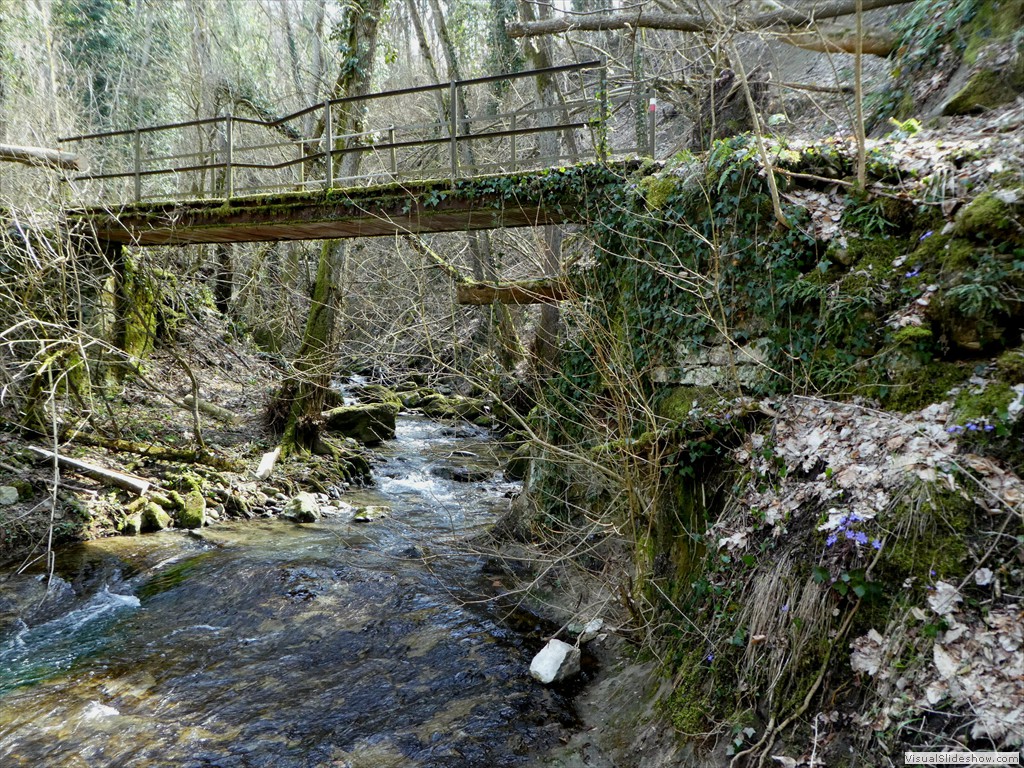 P1000457