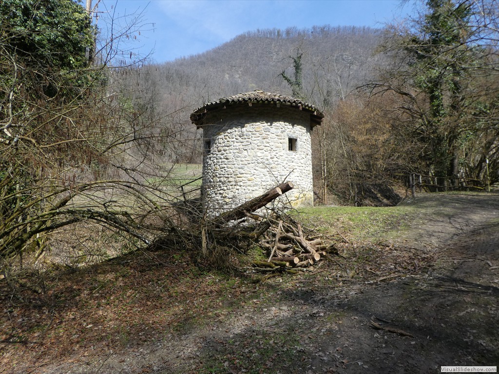 P1000459