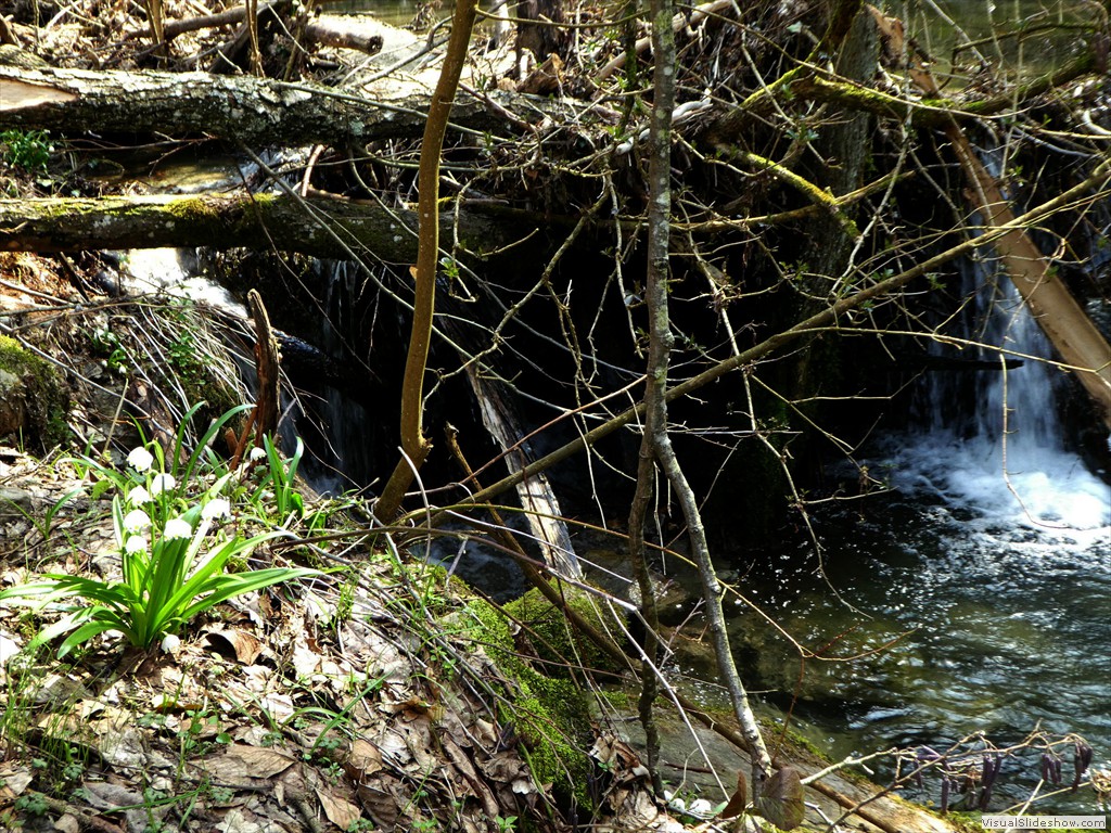 P1000460