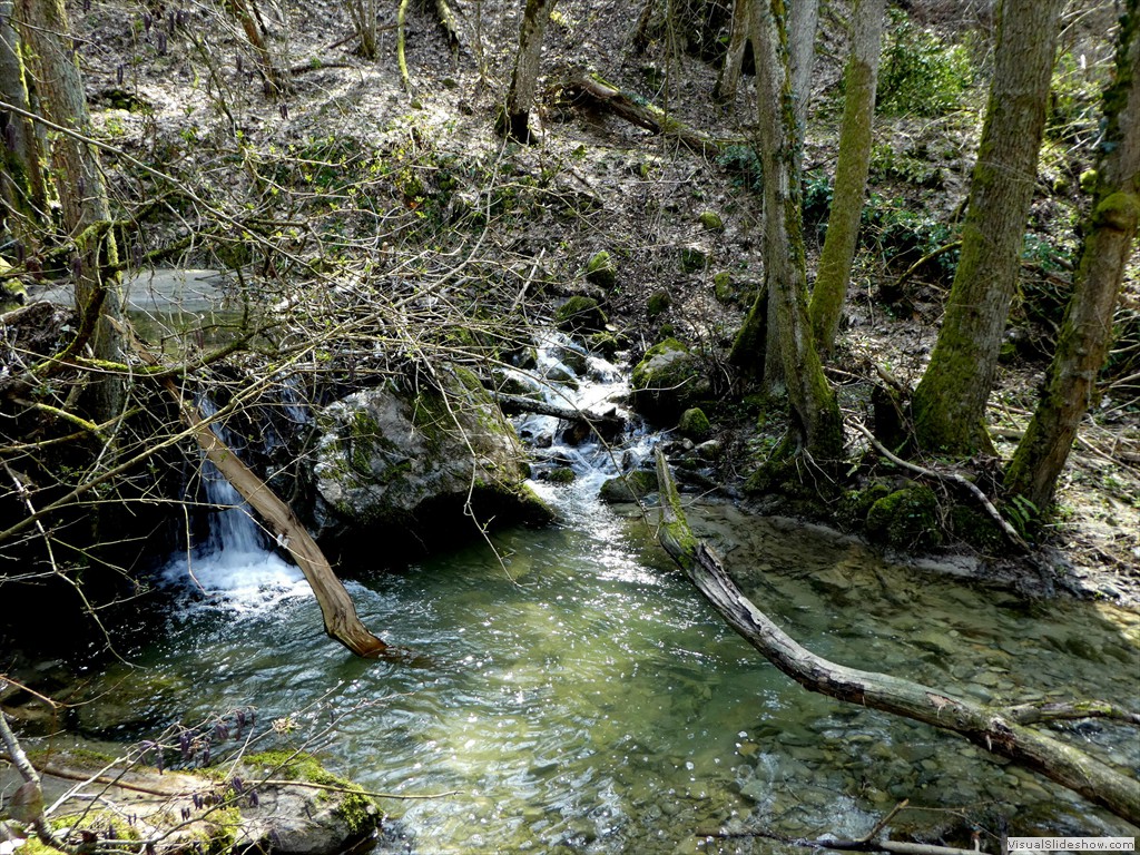 P1000462