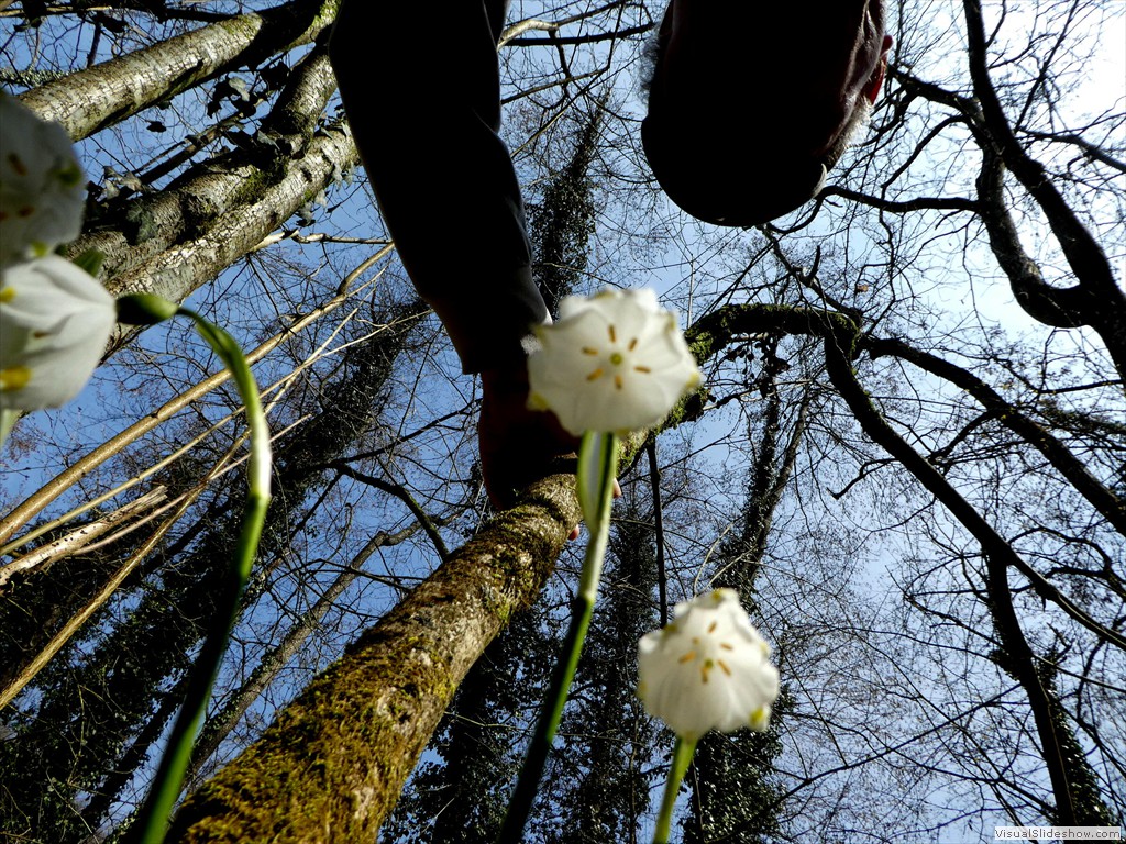 P1000471