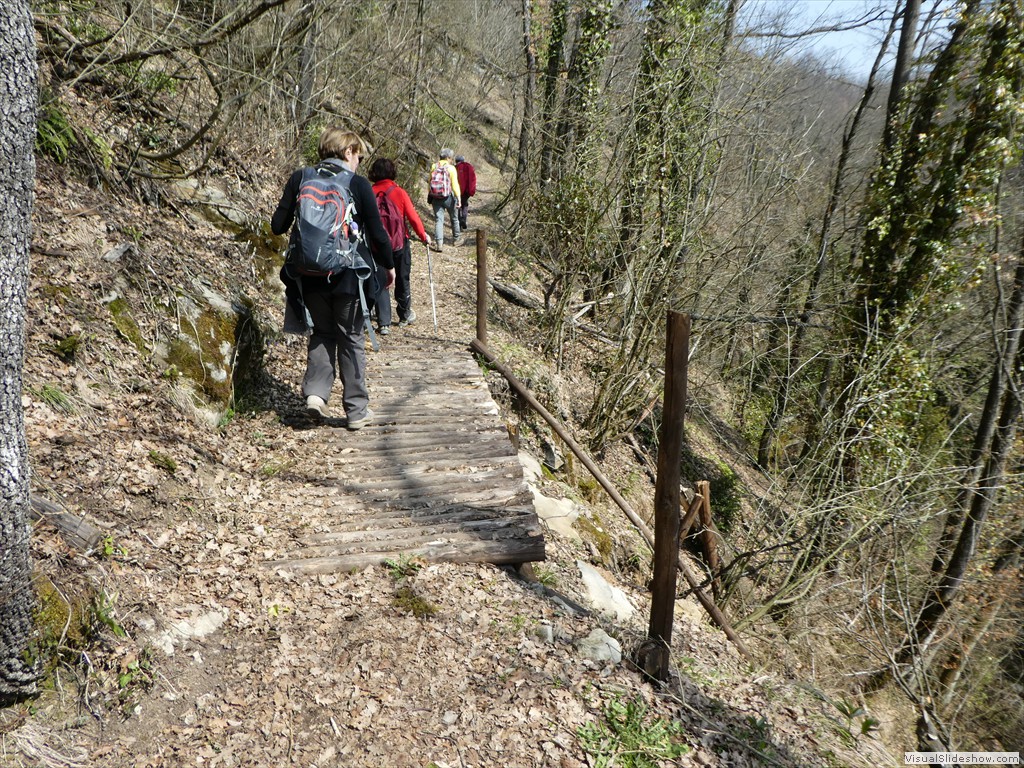 P1000473