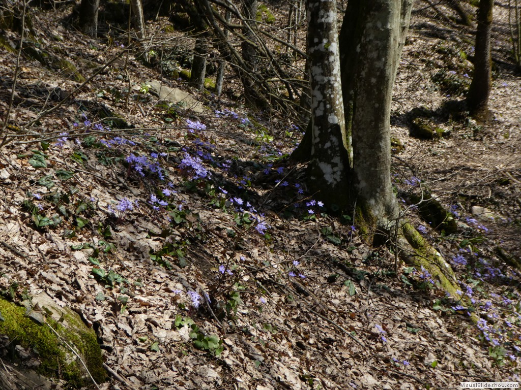 P1000482
