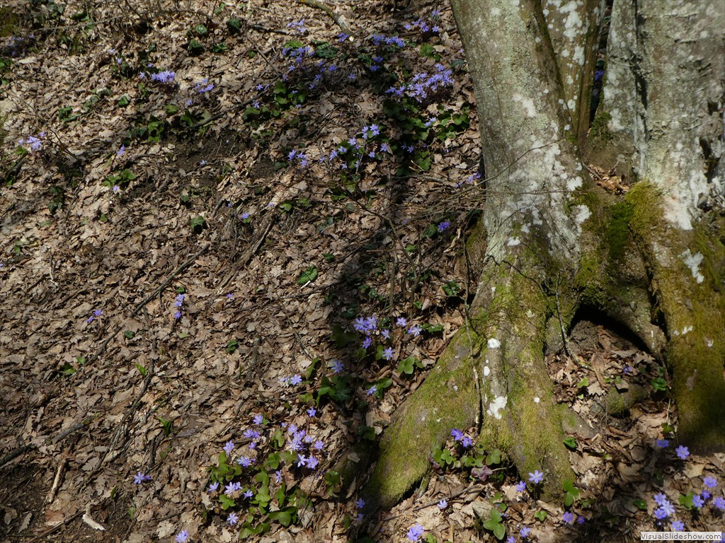 P1000483