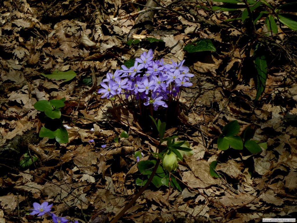 P1000484