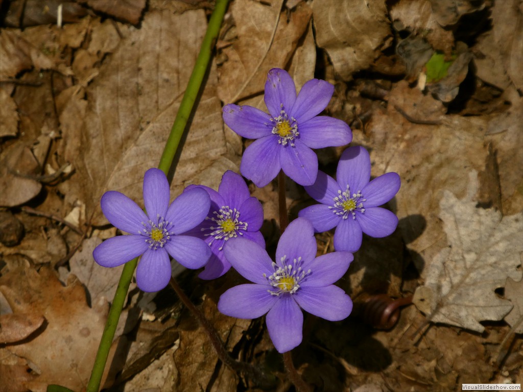 P1000486