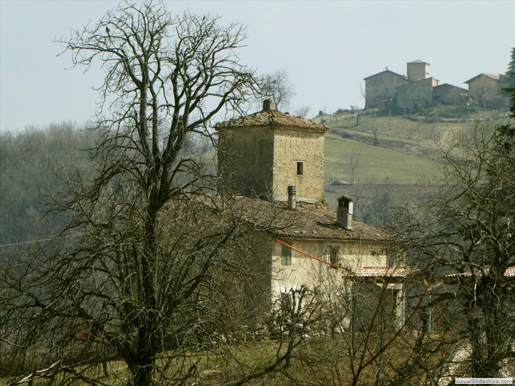 P1000492