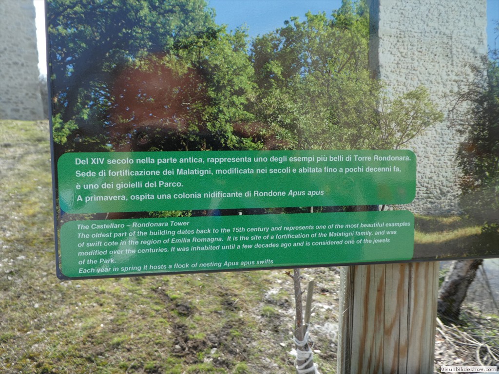 P1000501