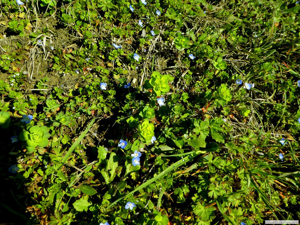 P1000134