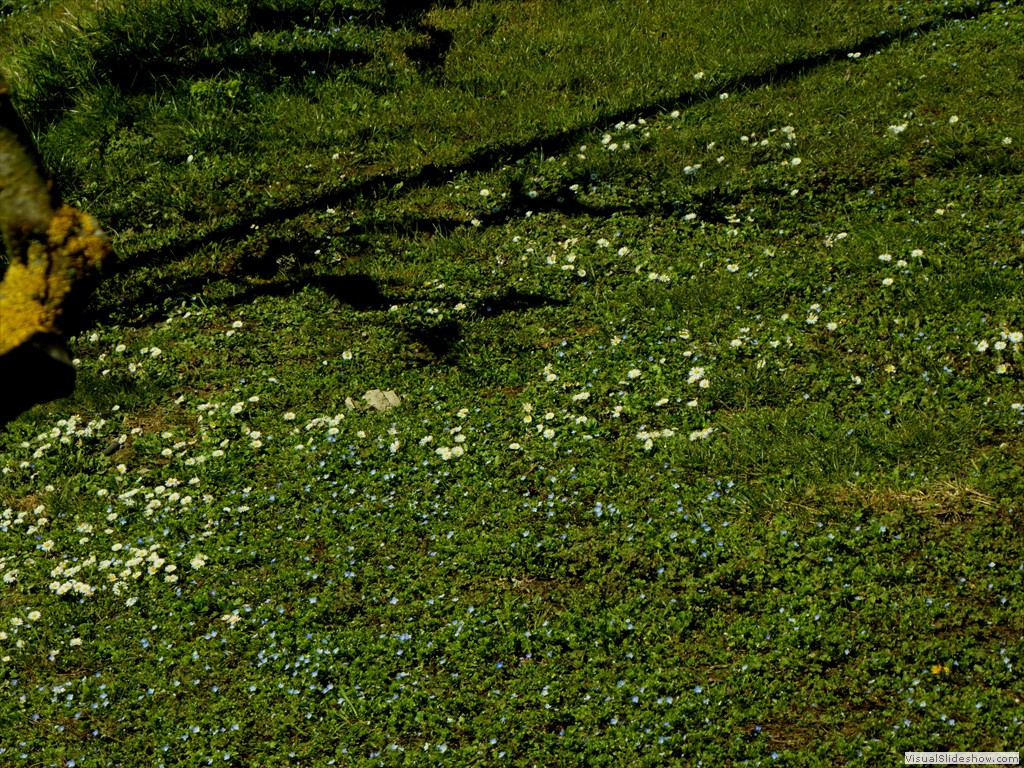P1000135
