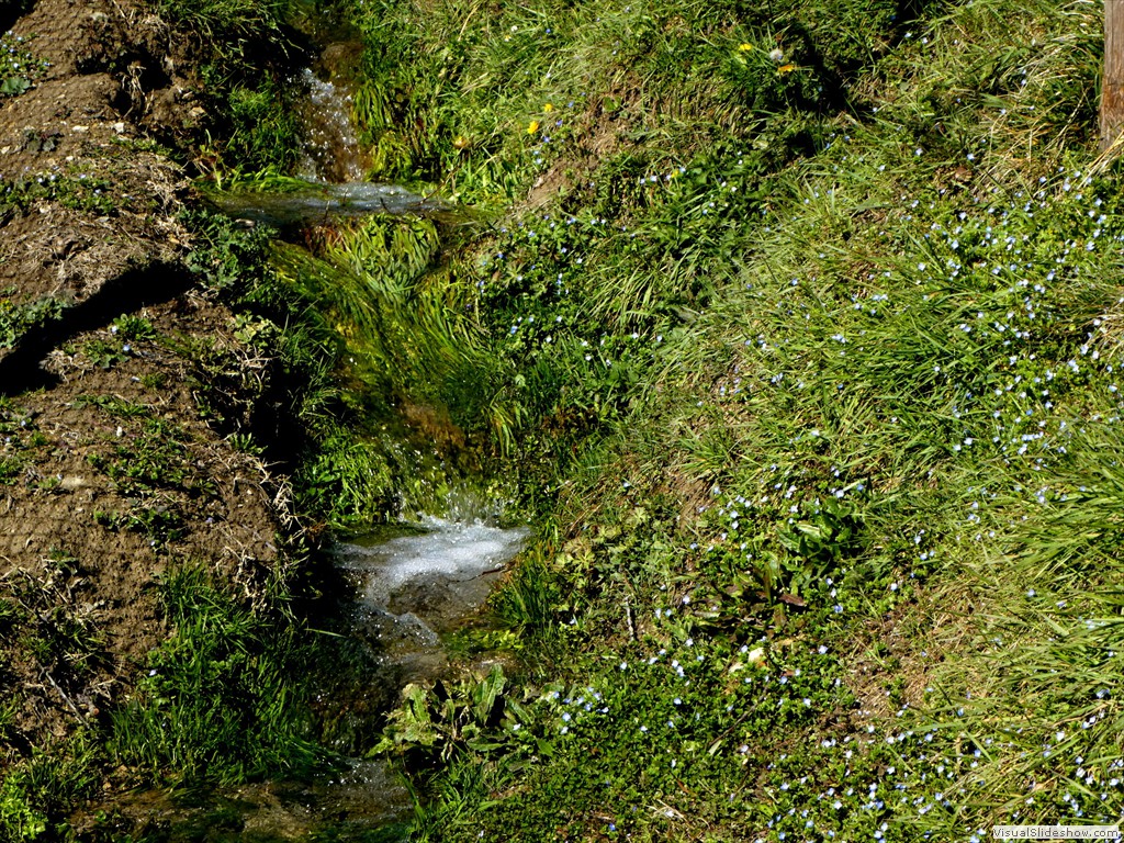 P1000136