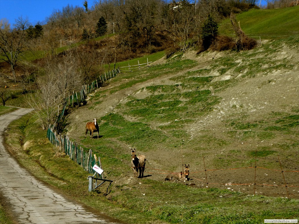 P1000138