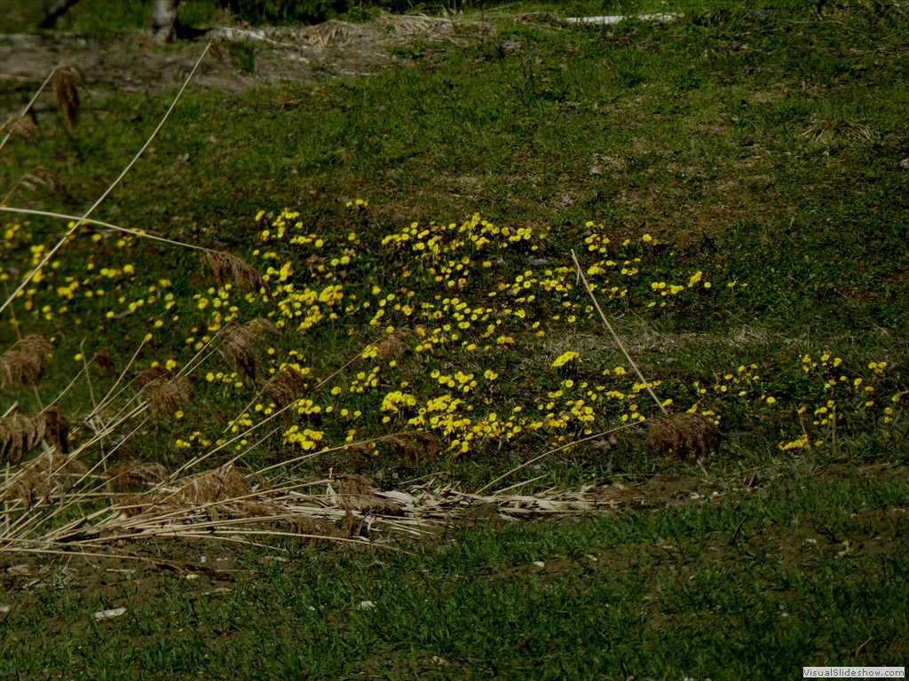 P1000139