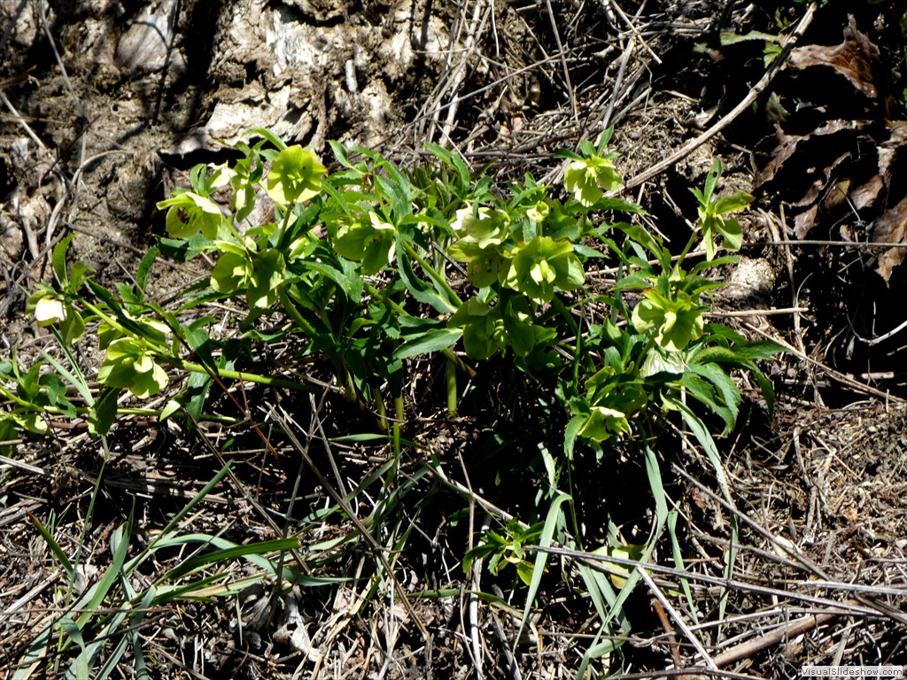 P1000141