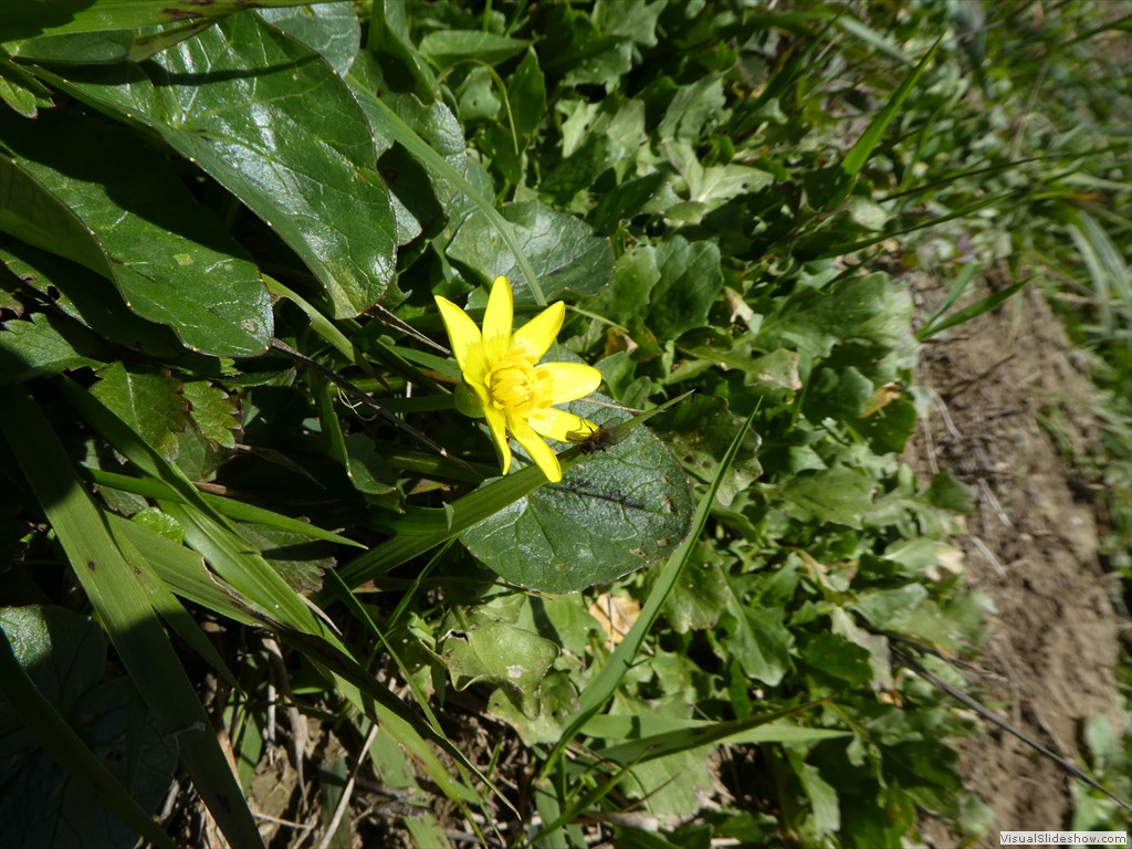 P1000142