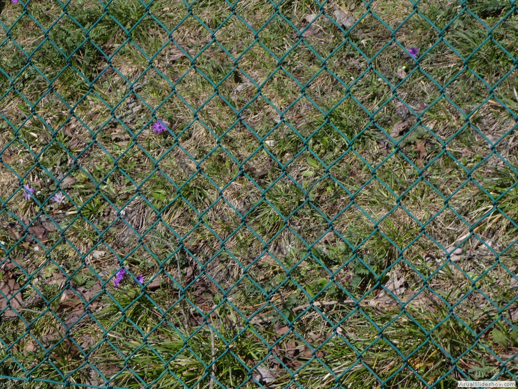 P1000143