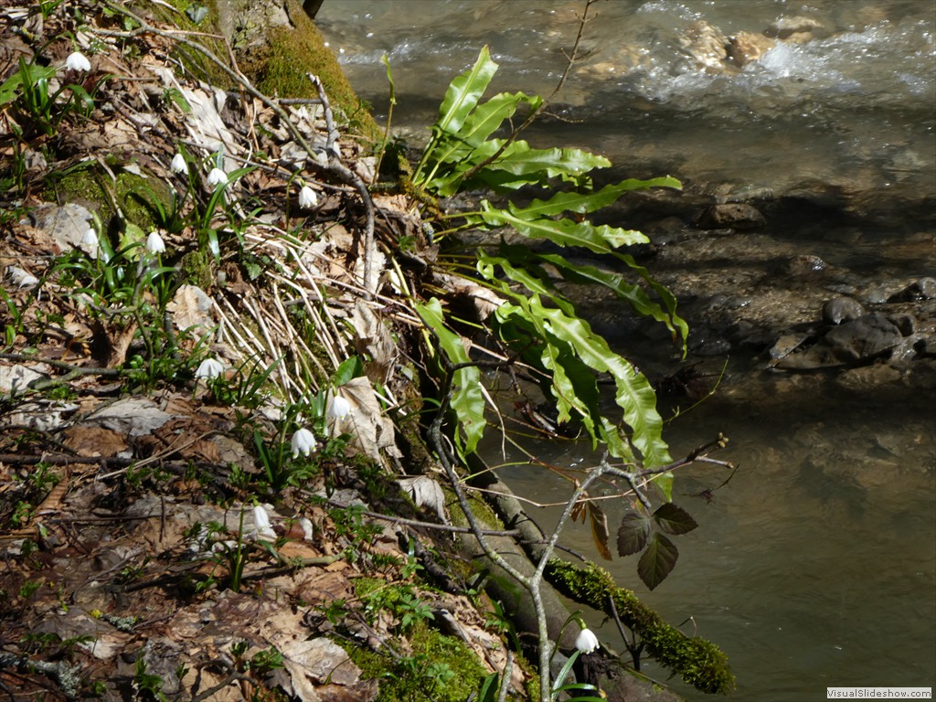 P1000150