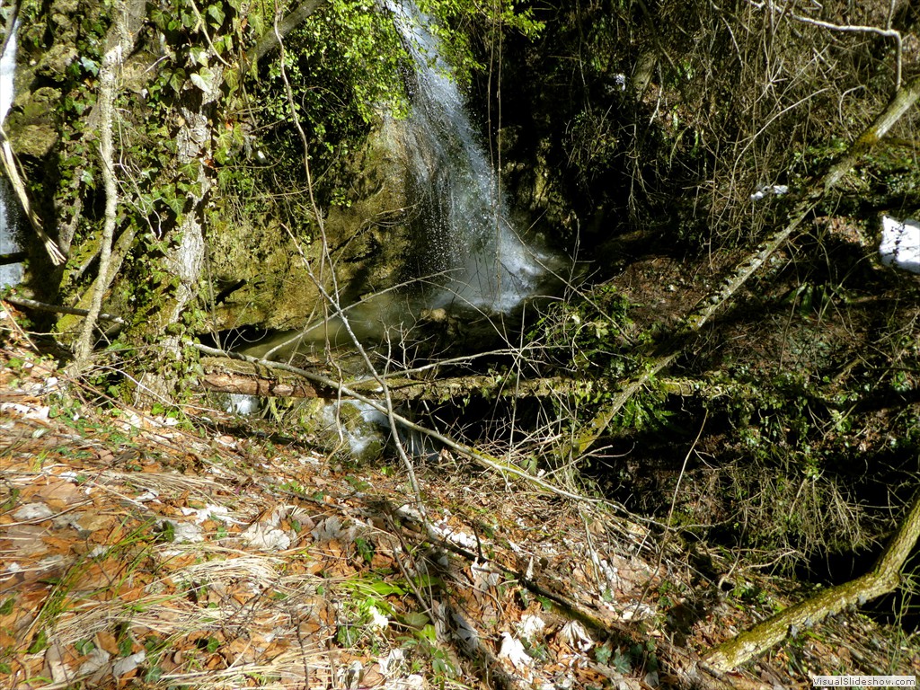 P1000162