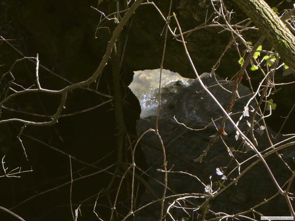 P1000165