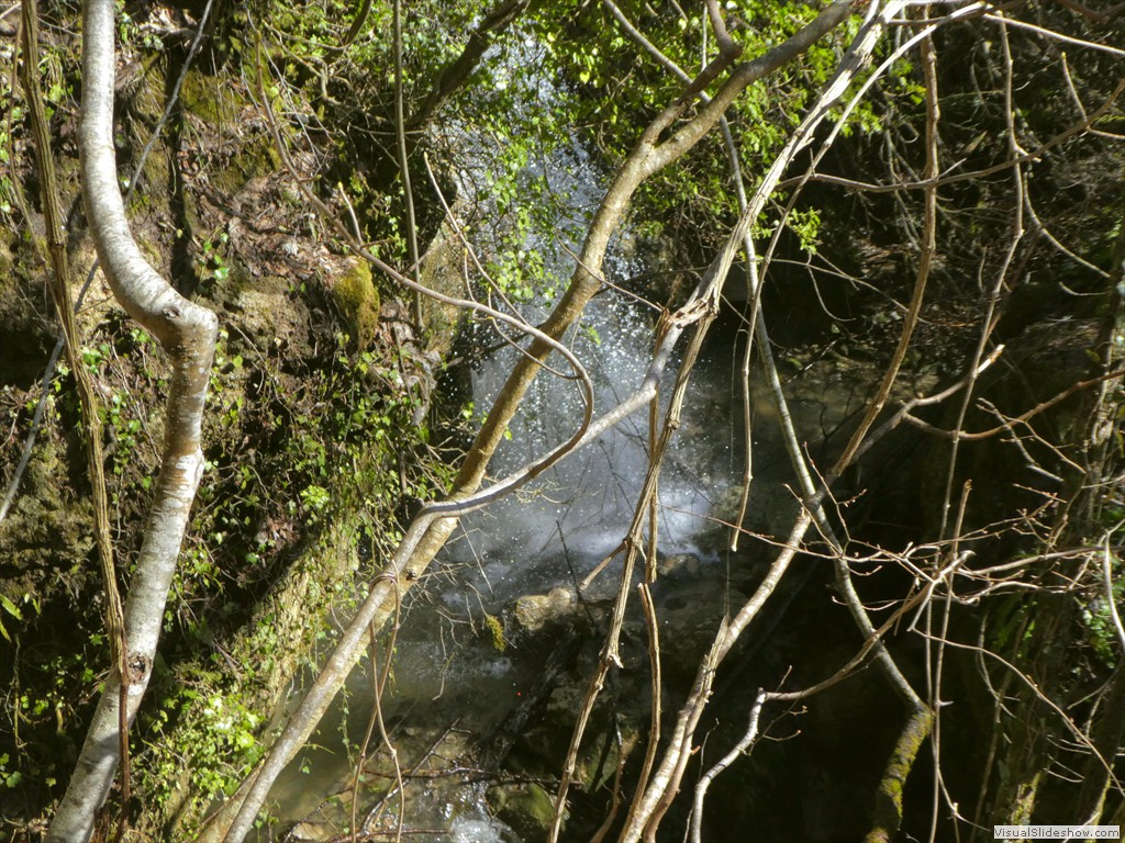 P1000168