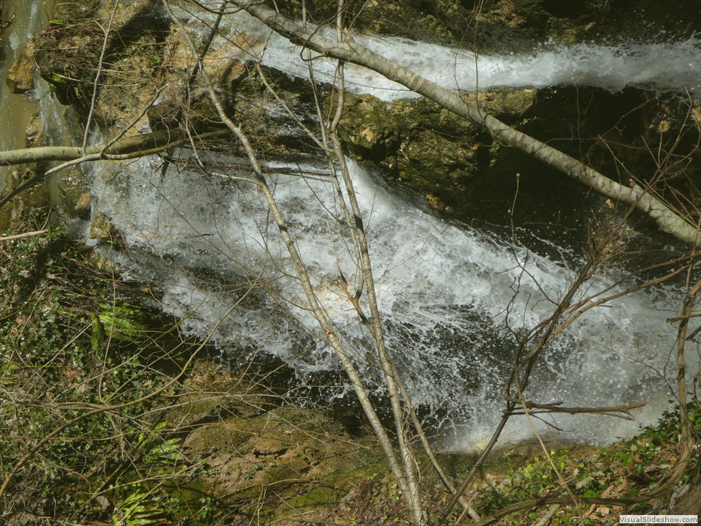 P1000169