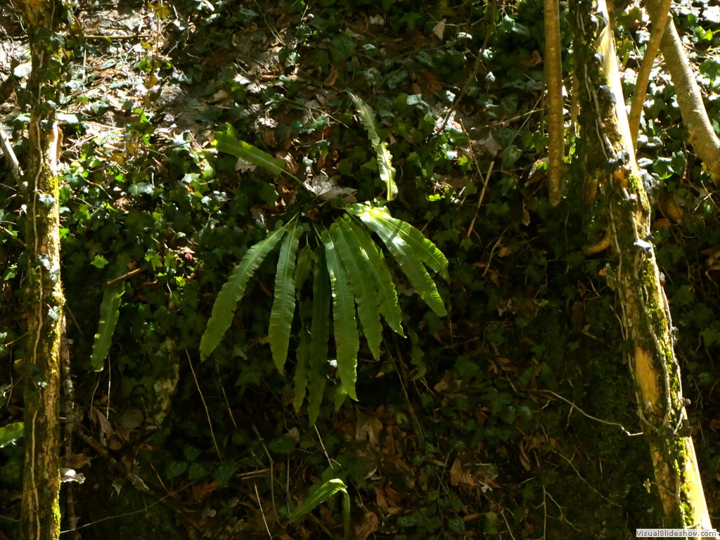 P1000171