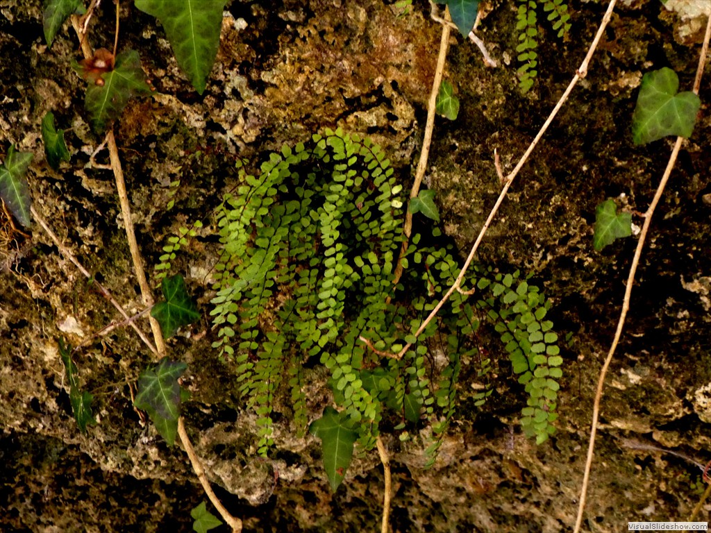 P1000173