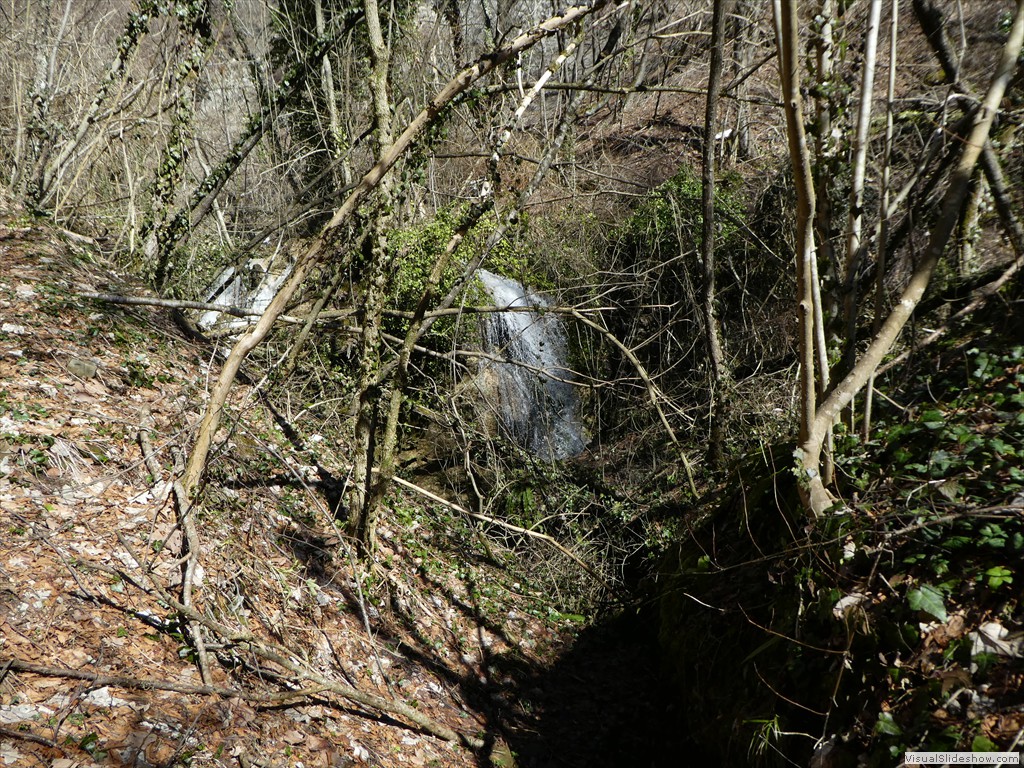 P1000174