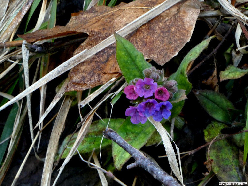 P1000189