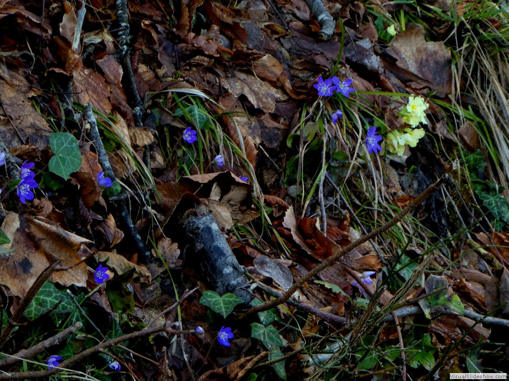 P1000190