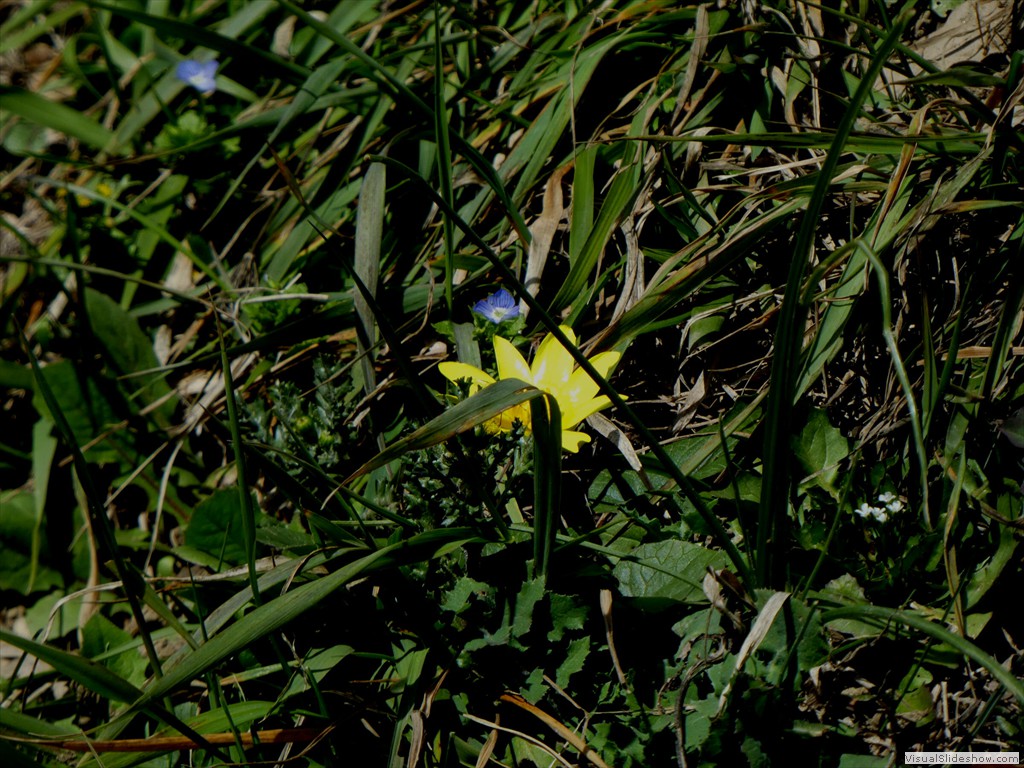 P1000201