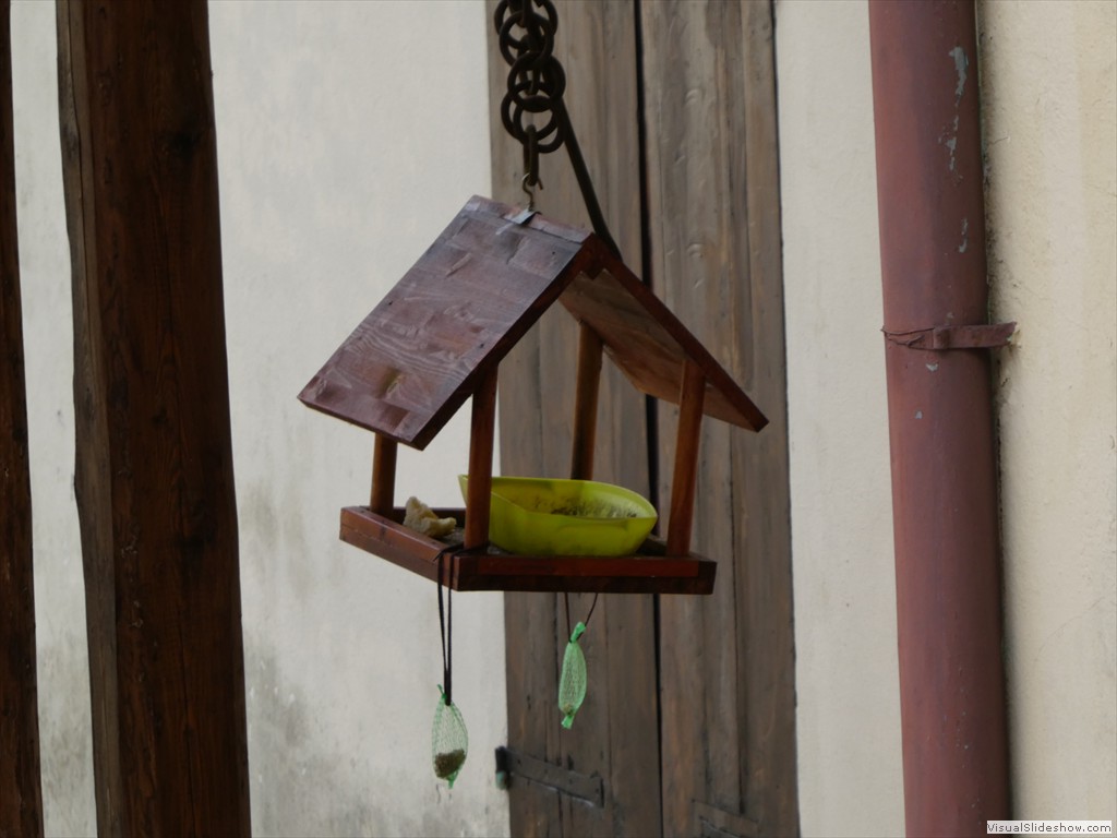 P1000205