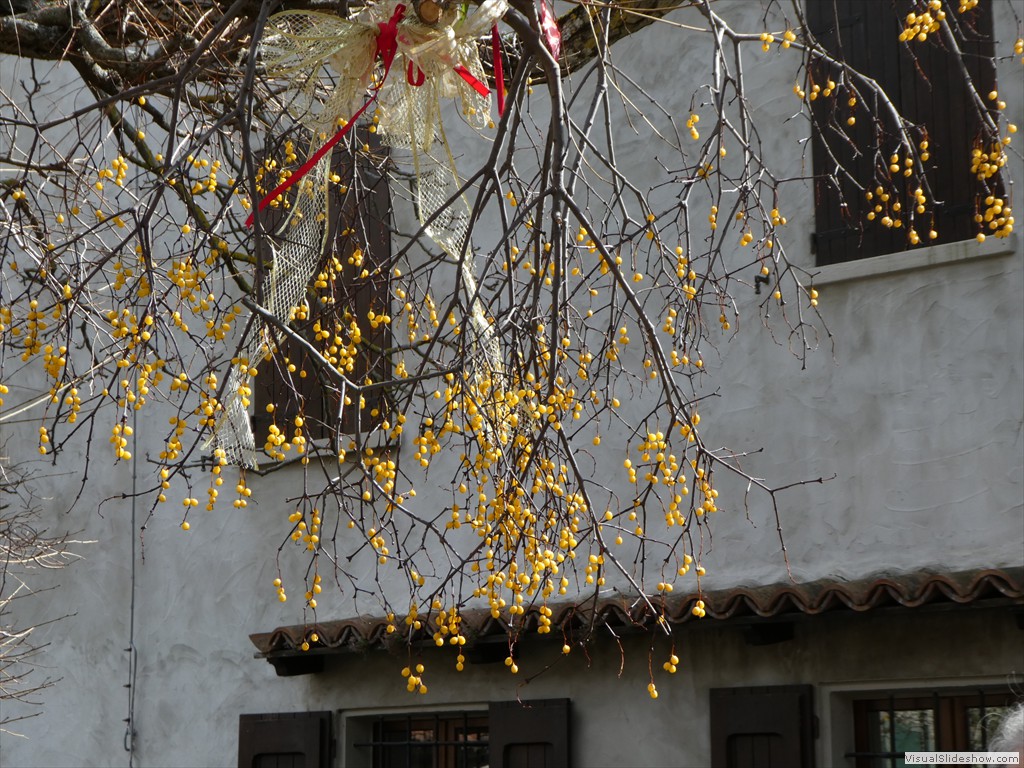 P1000226