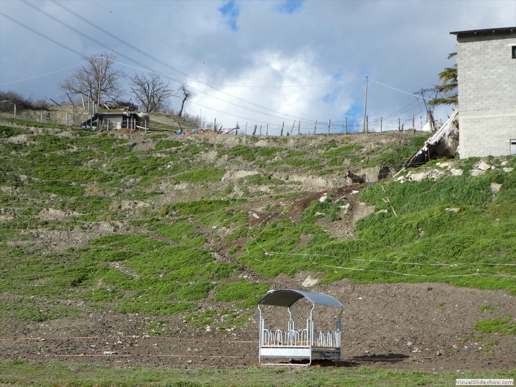 P1000246