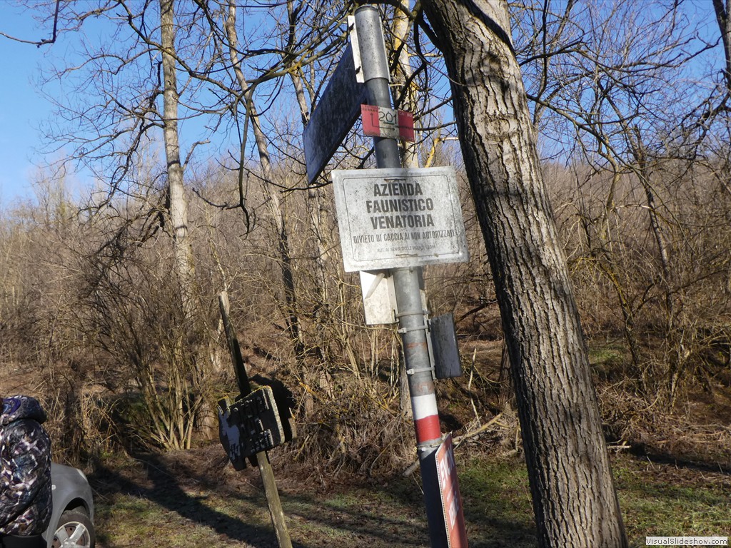 P1050309