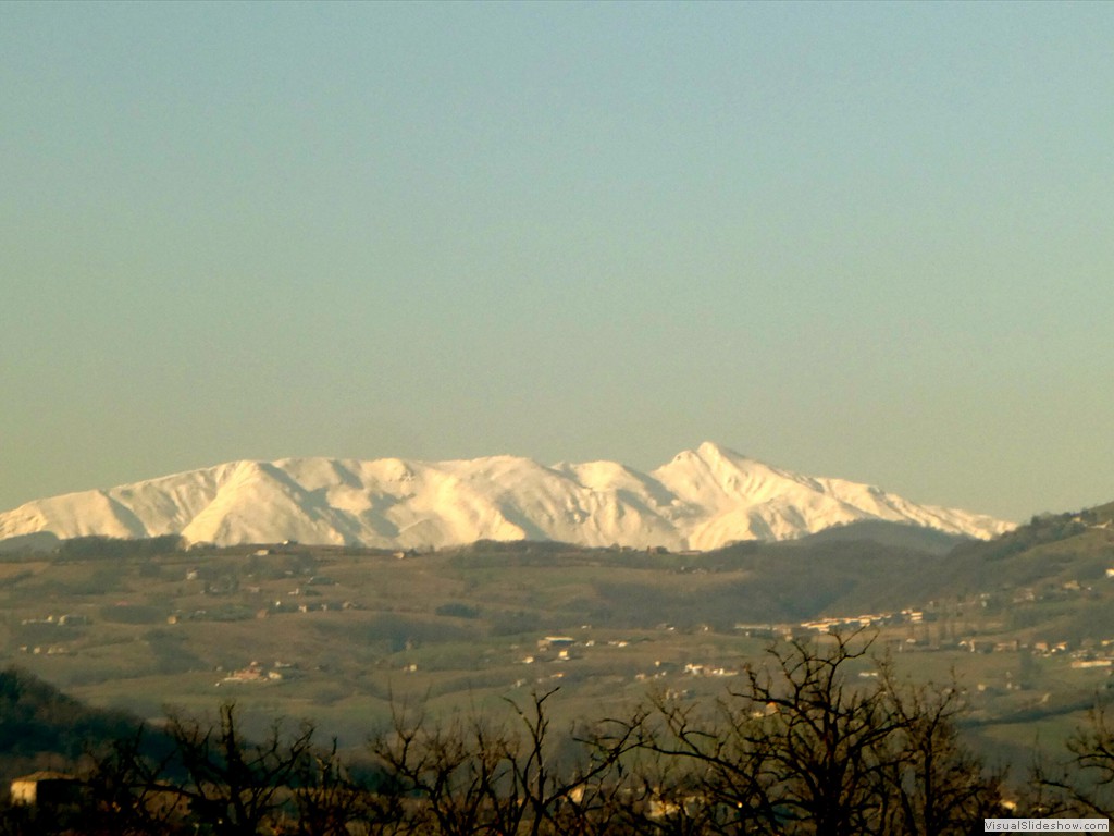 P1050317