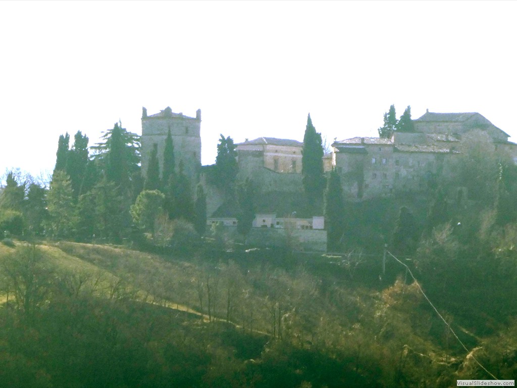 P1050331
