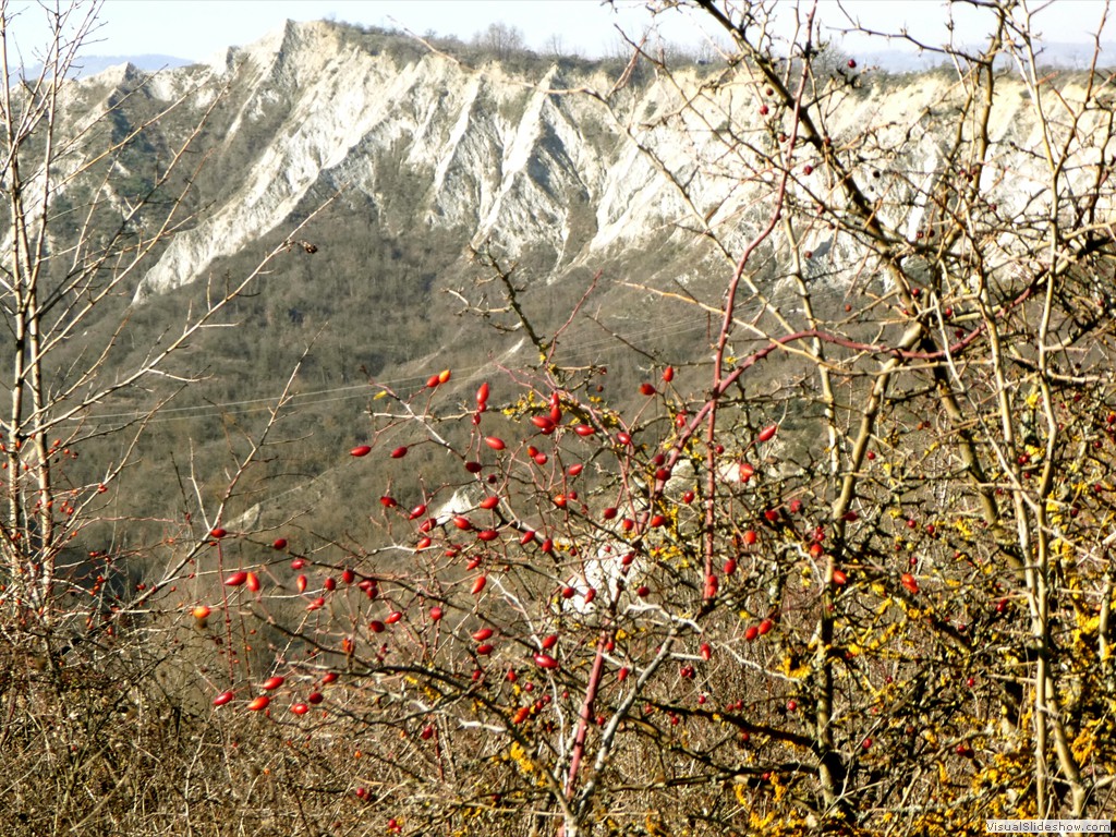 P1050334