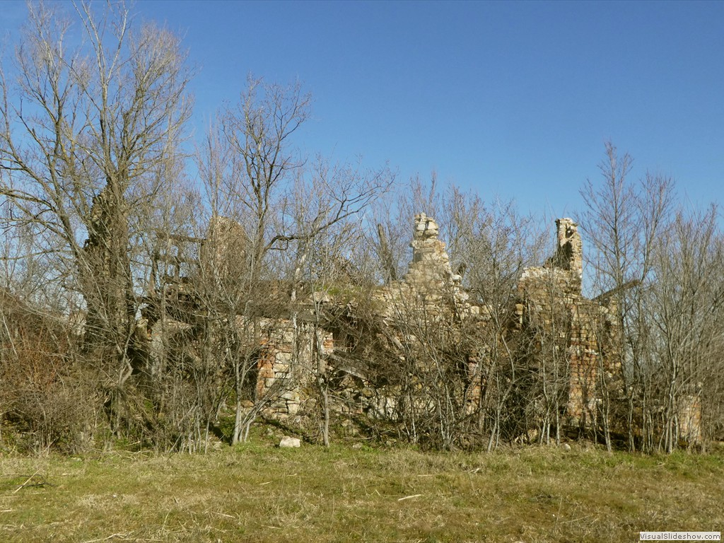 P1050339