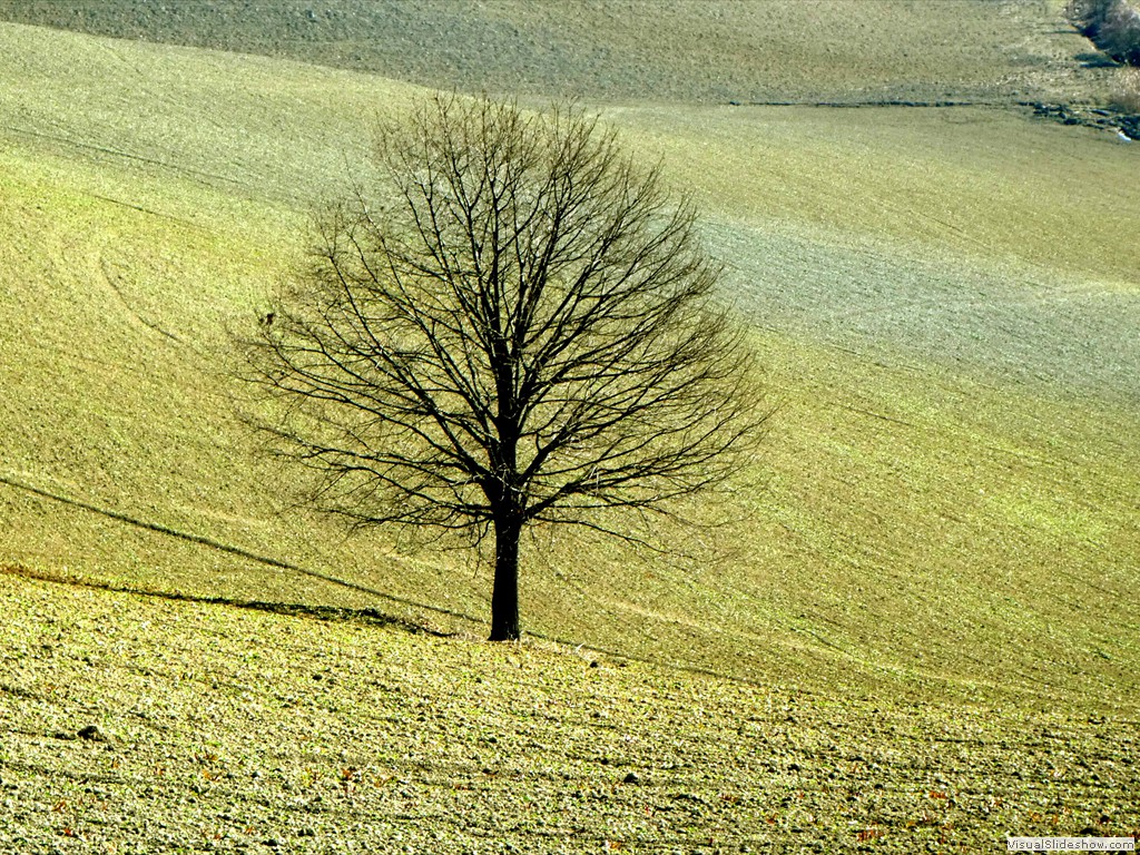 P1050342